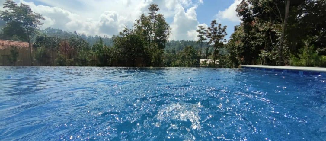 Swimming Pool 1