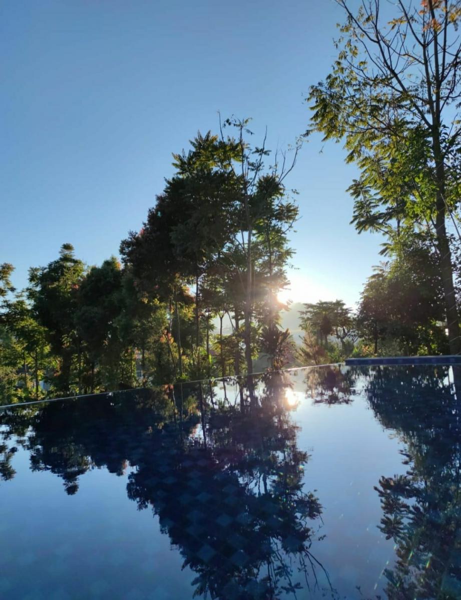 Swimming Pool 8